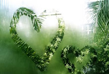 广州单身95，邂逅美好，等你来牵手！