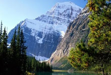 11. 重点班揭秘：学霸背后的故事