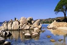 城市绿洲养生乐园，广州首付98万小区房生活精彩